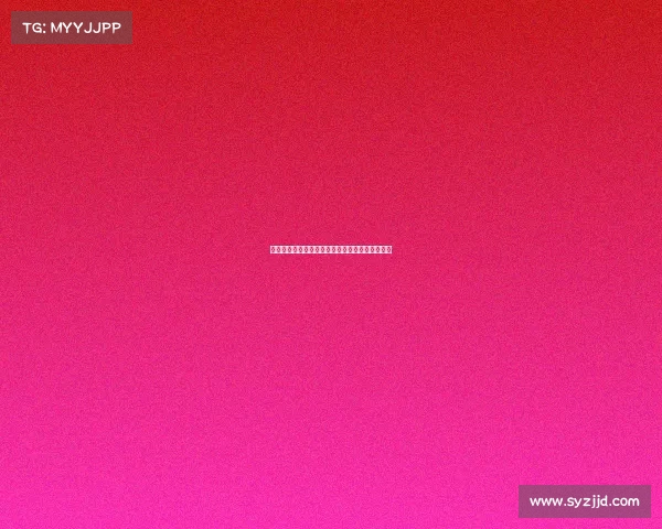 维萨预计将于周二回归布伦特福德训练并恢复备战